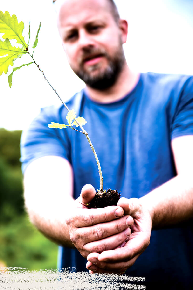 Yaffle & Bosk - Handcrafted Tables Devon