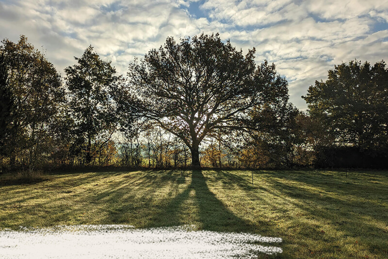 Yaffle & Bosk - Sustainably Produced Handcrafted Tables